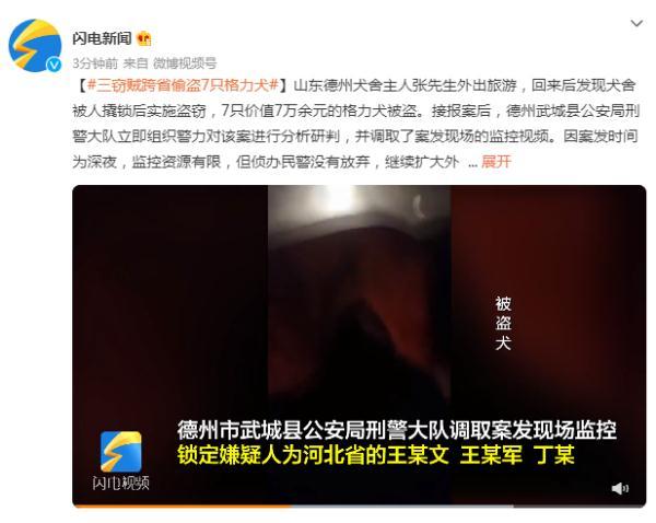 格力犬排行榜_黑龙江格力犬排名__金农网金农网(2)