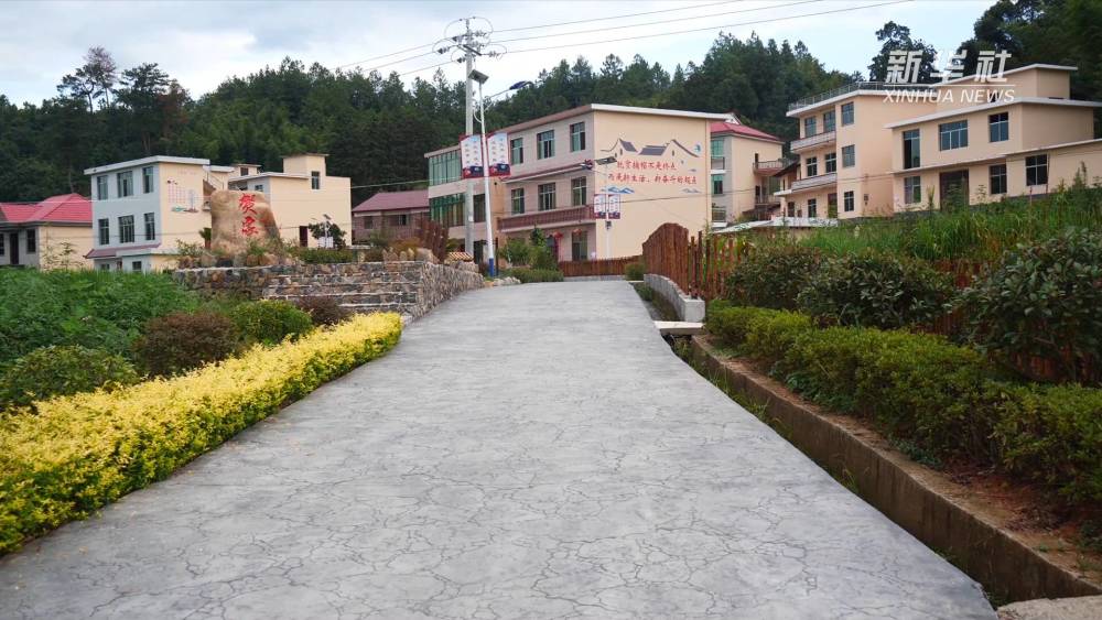 走进乡村看小康|田里采莲山中割蜜 曲江村奏响乡村振兴曲