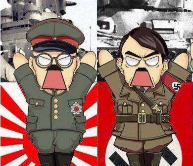 给游击队送武器高射炮打下自己元帅二战中可爱的意大利人