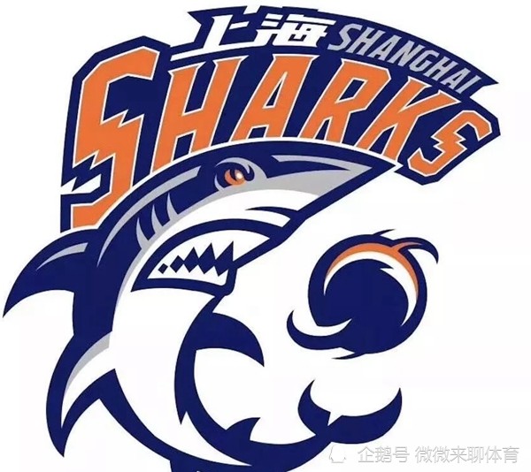 上海男篮 上海男篮补强能否打破CBA争霸格局？王哲林成为队长＋目标需要务实