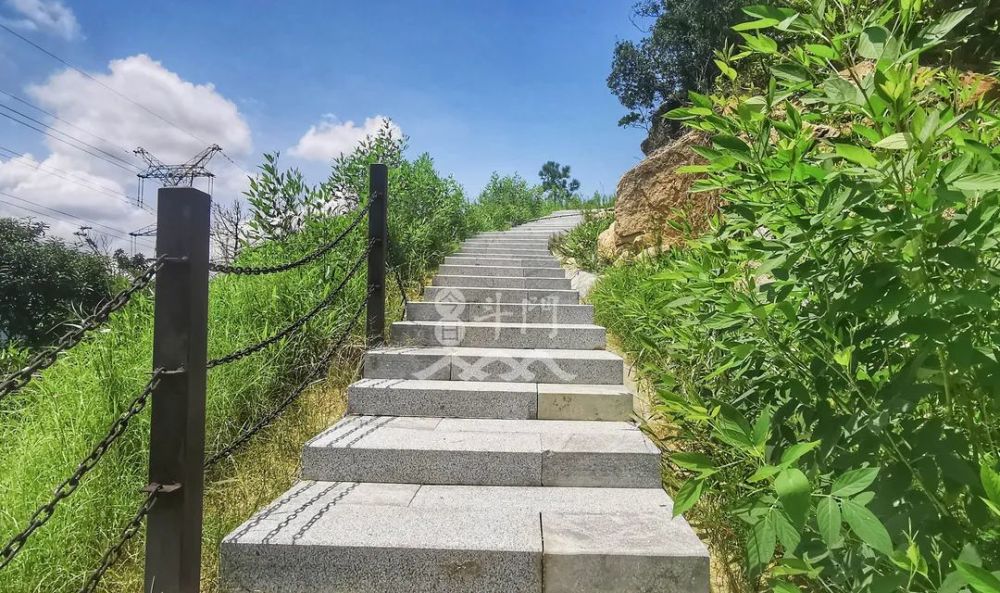 登山步道的建成后,不仅改善了黄杨山的上山路况,降低了登山安全隐患
