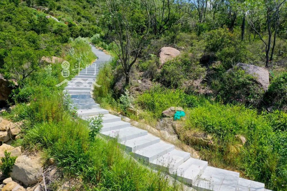斗门黄杨山步道上新