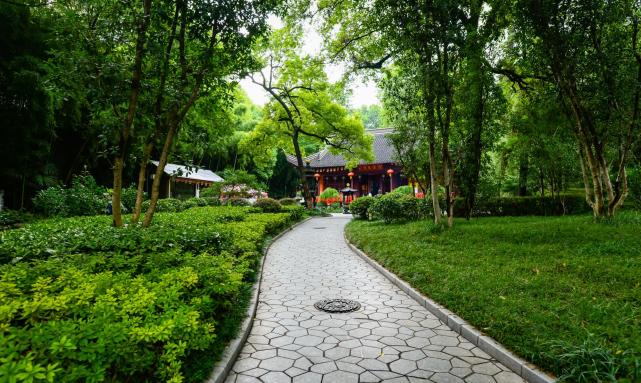 金陵48景 中最美的景点 始建于南朝 是南京城内最大的银杏林 腾讯新闻