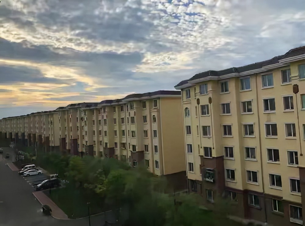 大城市买不起房鹤岗5万元买房直接躺平实现住房梦