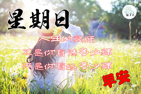 2021年8月22日园林简报周末愉快