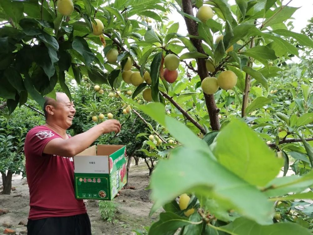 秋高气爽,春华秋实.