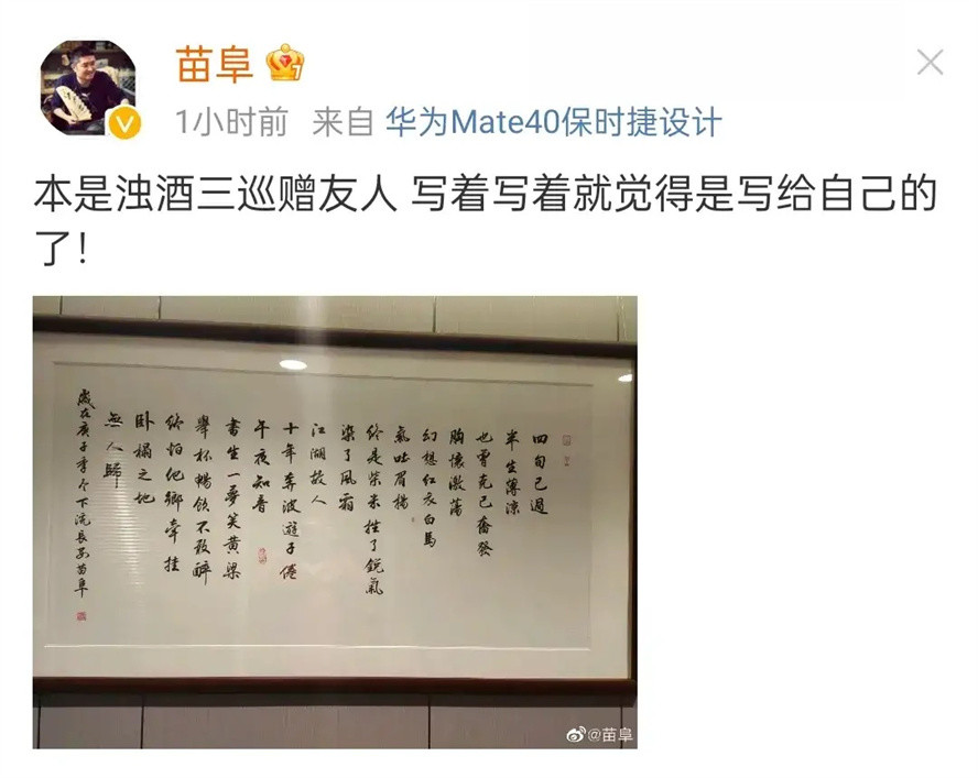 苗阜酒后奋笔疾书，字体意境一流，郭德纲逊色不少