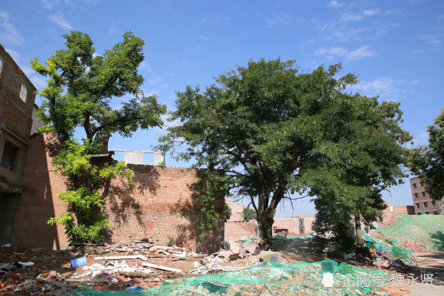 西安三兆村千年古村千户人家,快拆完了,百年四合院能保留下来吗
