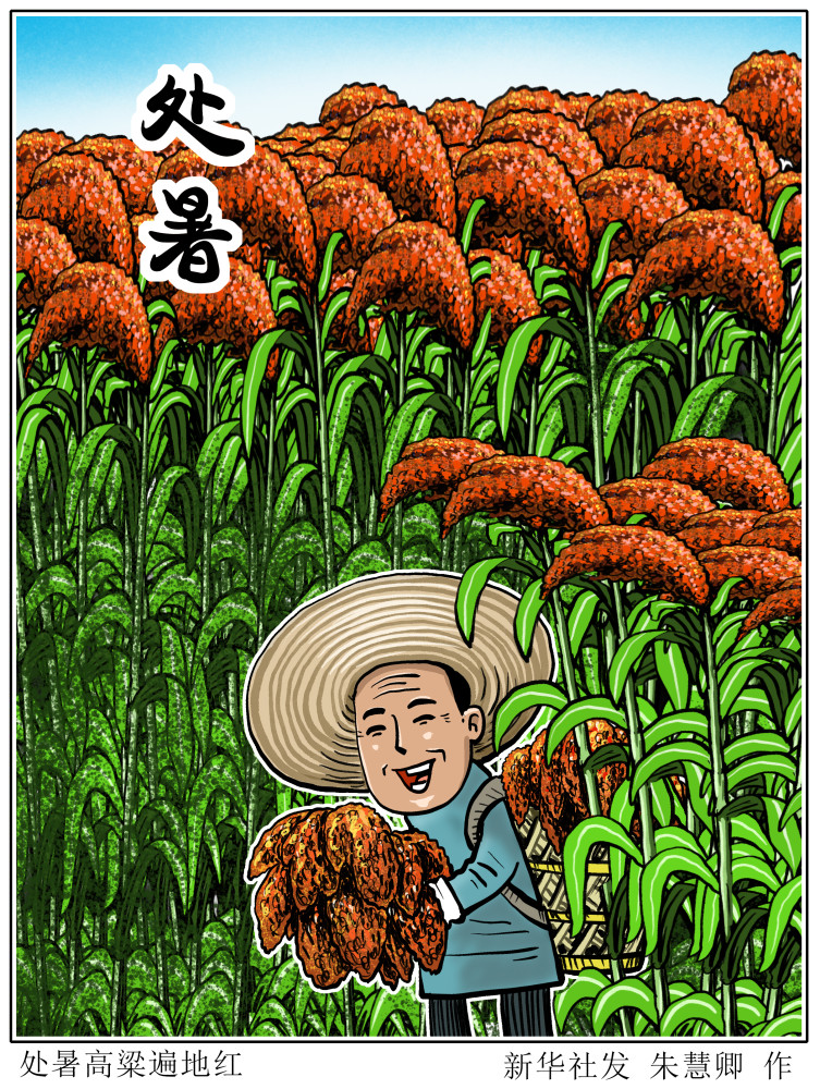 图表漫画二十四节气处暑处暑高粱遍地红