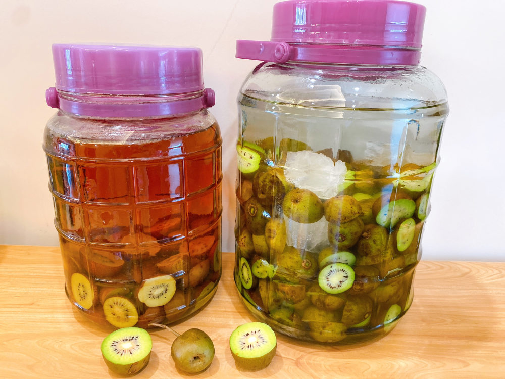 这种水果秋天才有摘一些泡酒营养丰富口感香醇好喝不上头