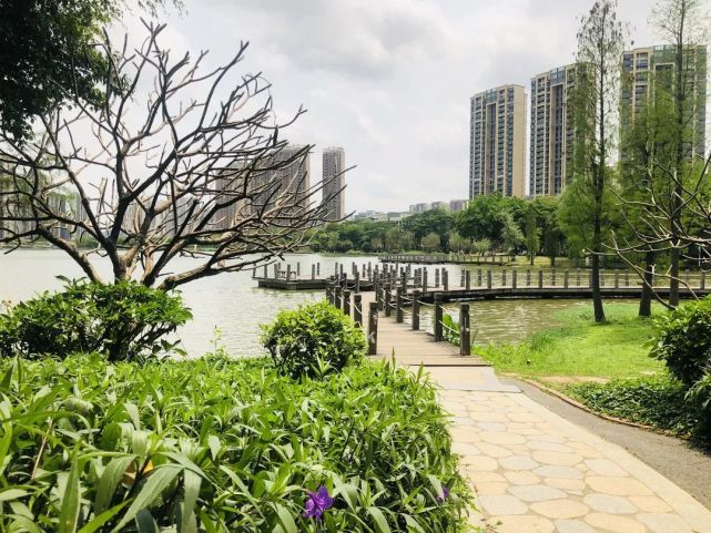 这里也是你露营的好去处绿岛湖湿地公园这一休闲旅游的好地方当然要让