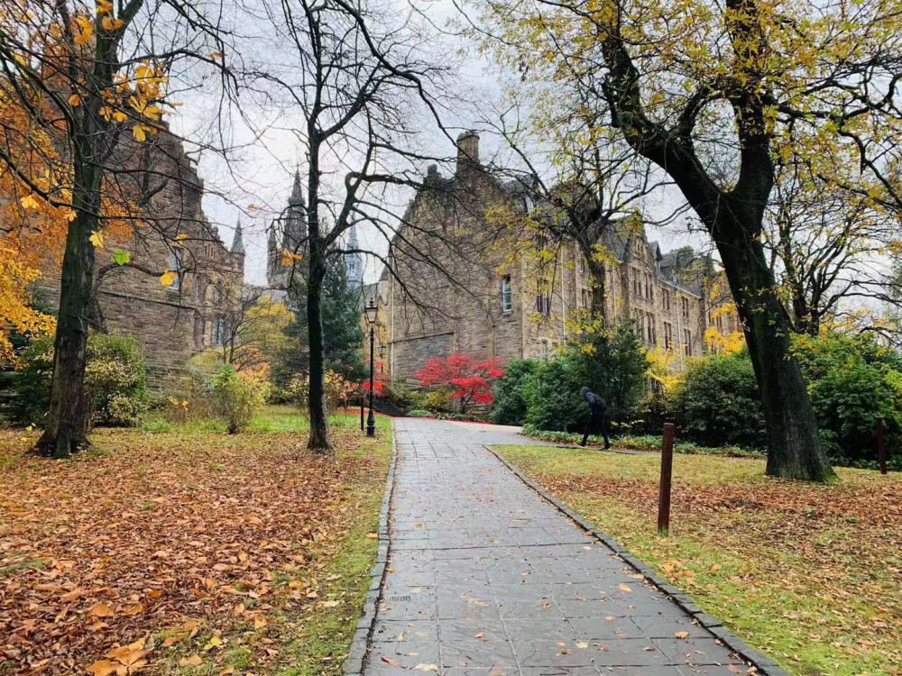 金融专业排行榜_英国热门专业之会计与金融专业院校推荐