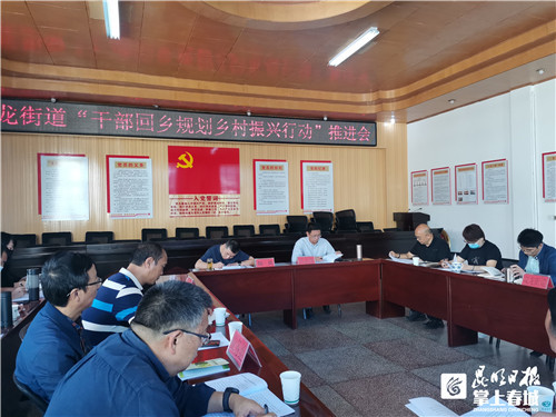 盘龙区双龙街道召开干部回乡规划乡村振兴行动推进会