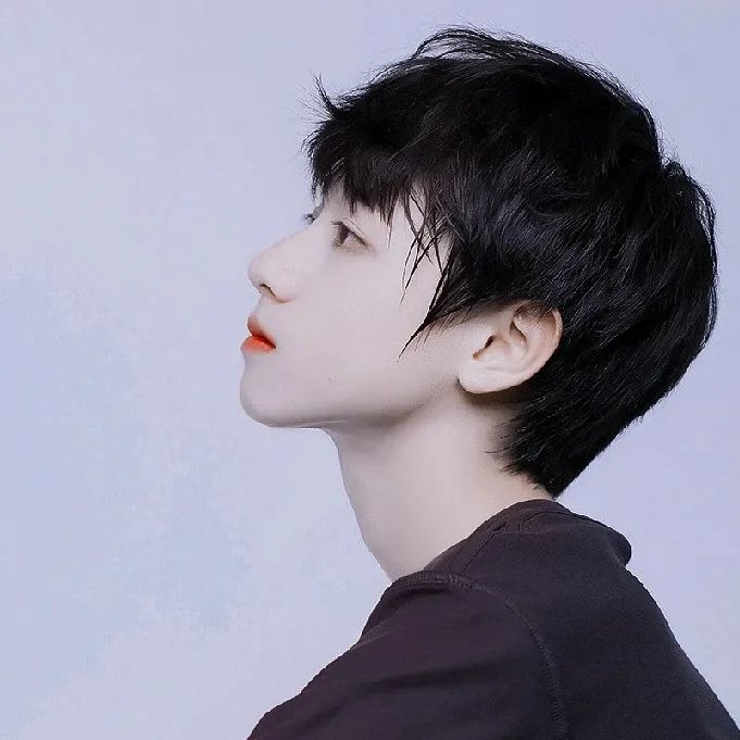 【头像】朱志鑫