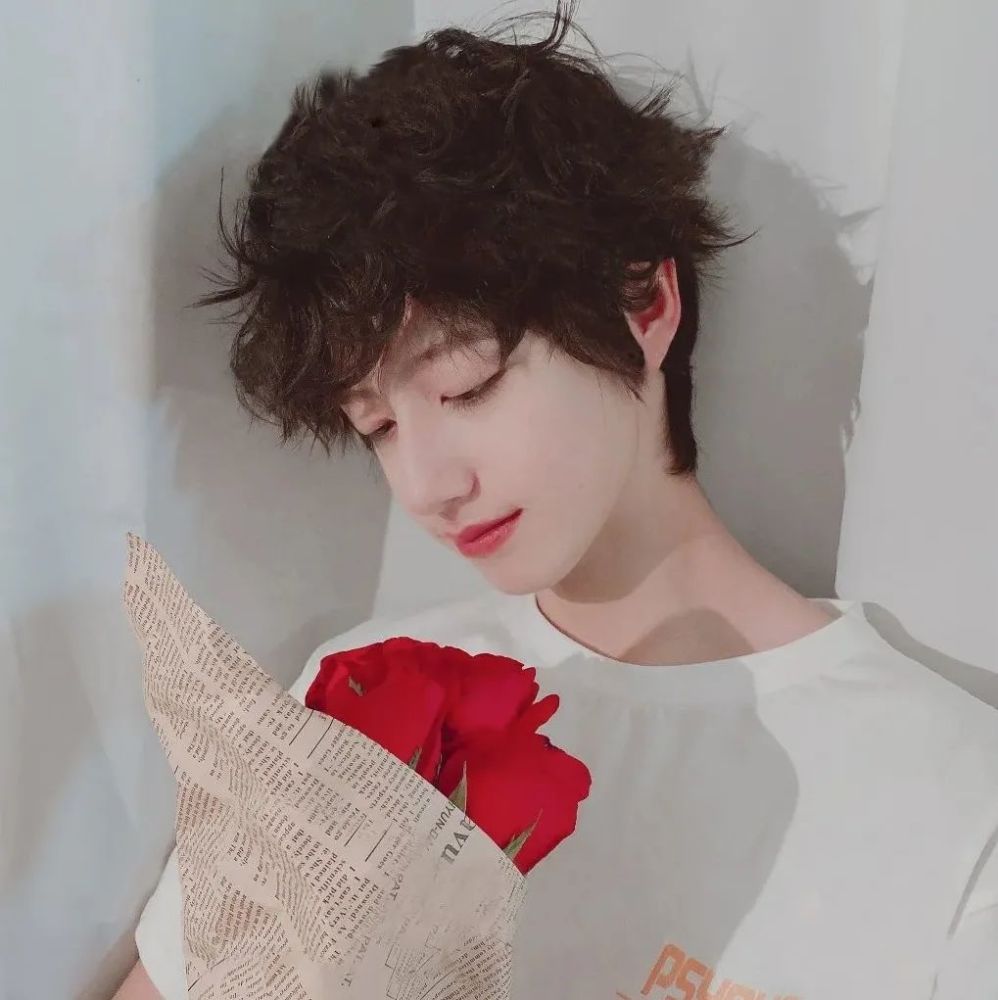 【头像】朱志鑫