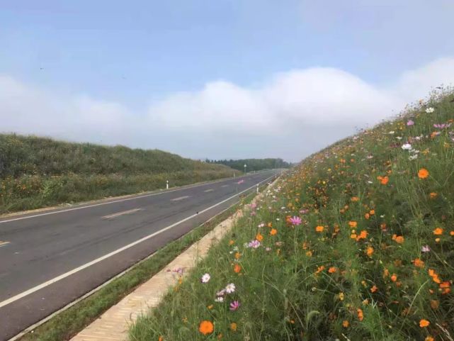 欣赏定远这条已修成的公路美极了