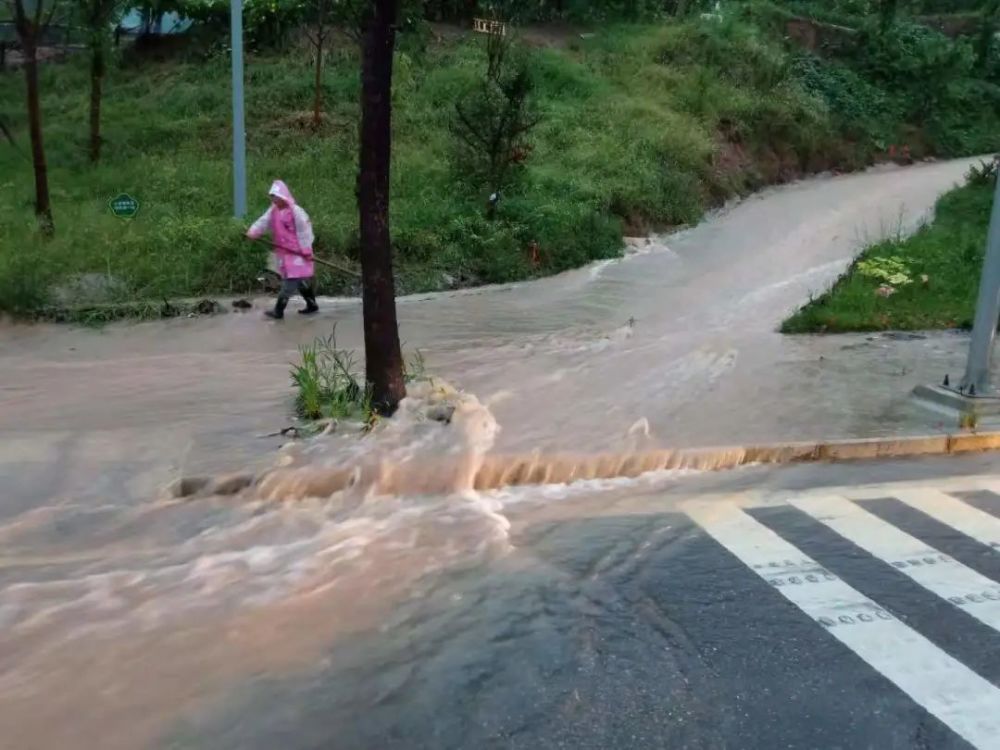 阆中大雨图片