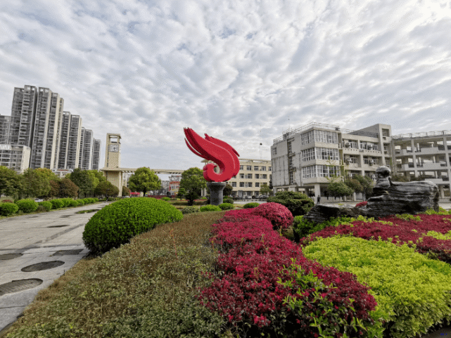 重磅,新洲将建大学城!在哪?