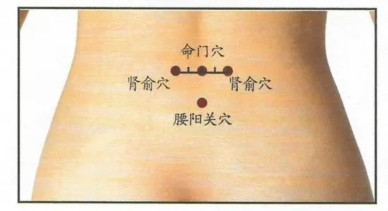 命门穴2可以引火下行,从而通络活络,固本扶正.