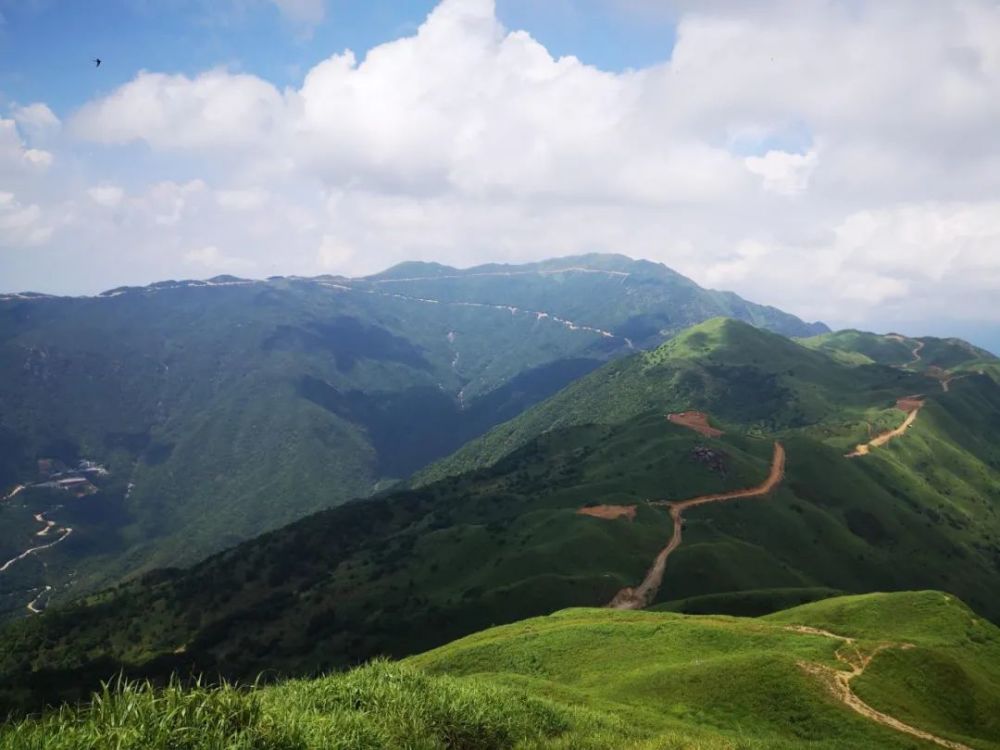 潮头听涛丨"望天顶"上写忠诚