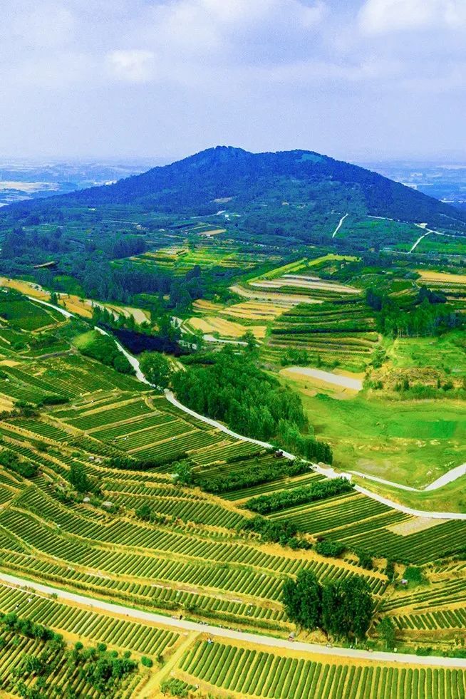 当我看到海青的第一眼就沦陷了!