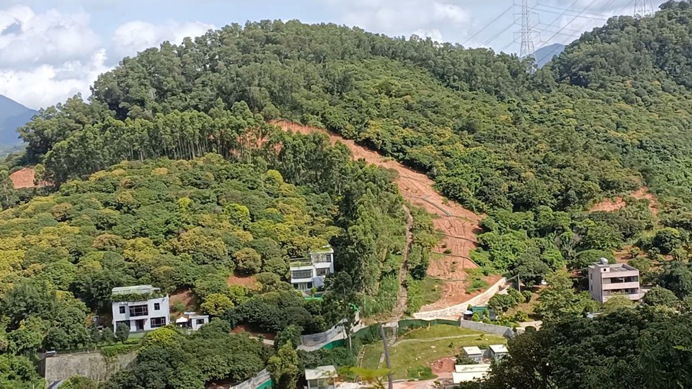东莞清溪亚公山森林公园,大高新街