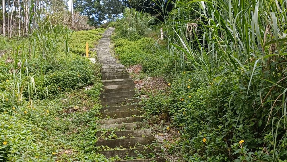 东莞清溪亚公山森林公园,大高新街