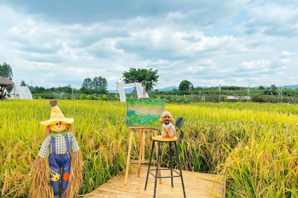 成都又开亲子农场泰式风格自驾1h畅游东南亚