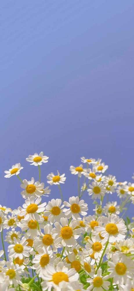 精选壁纸(192)期,超级好看,不容错过哦