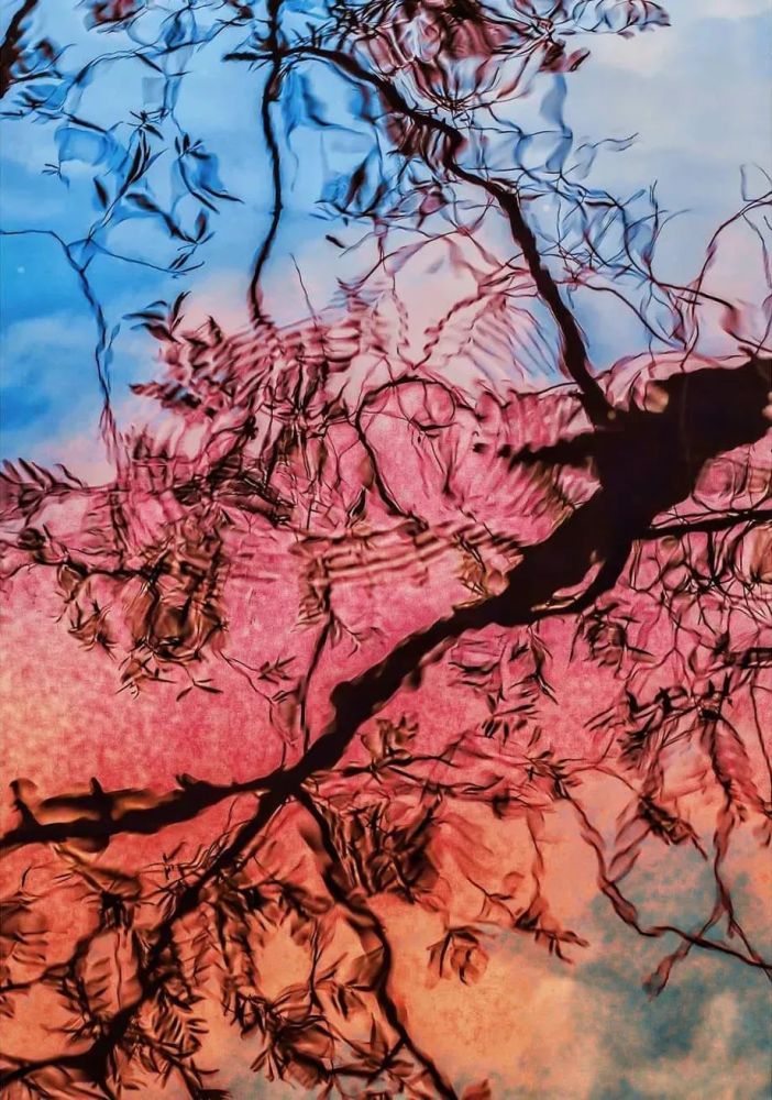 夺人眼球的色彩,是他最拿手的事情.