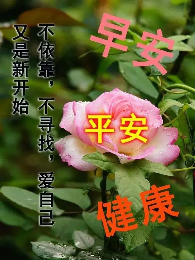 最新早上好问候朋友暖心句子最新早安祝福表情图片