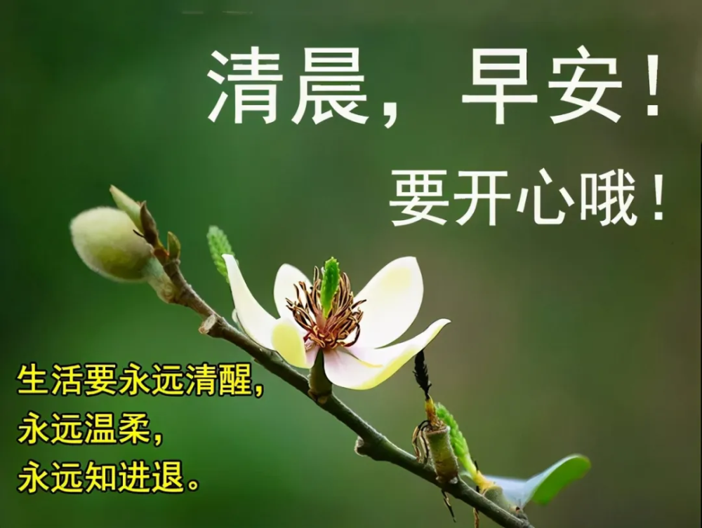 朋友圈很精緻的早上好唯美圖片帶字免打字的朋友圈早上好問候祝福語