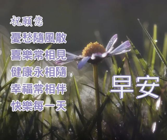 早上好圖片大全陽光 早上好的句子