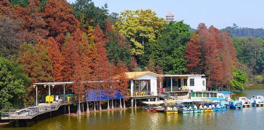 廣州旅遊:麓湖公園山青水秀,鳥語花香,是廣州市最大的人工湖泊