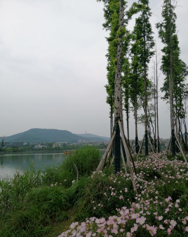 长沙:最美的风景在后湖,湖光山色,悠闲浪漫,慢时光里静享快乐