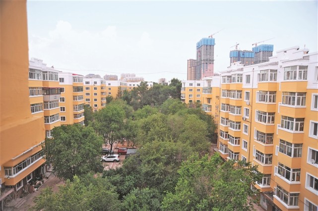 佳木斯|电梯|拜泉县|幼儿园|桦南县