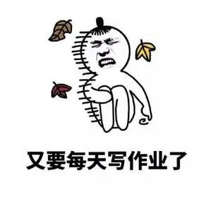 表情写作业表情包搞笑