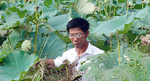 湘潭县基层人物丨王文斌:身残志坚不言弃 带领乡亲奔小康