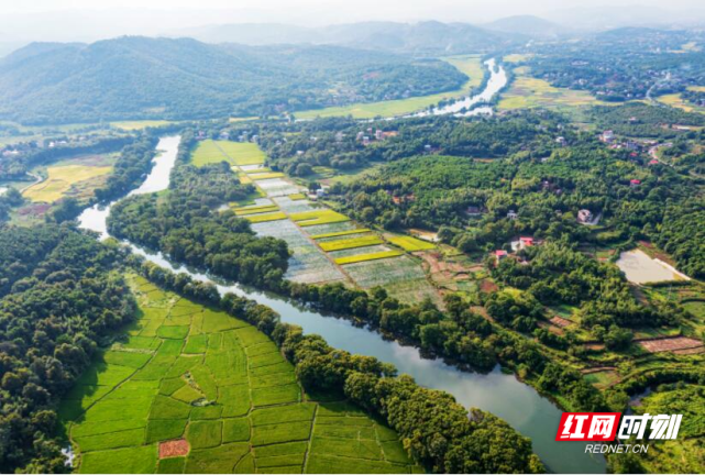 东安紫水国家湿地公园水清岸绿生态美