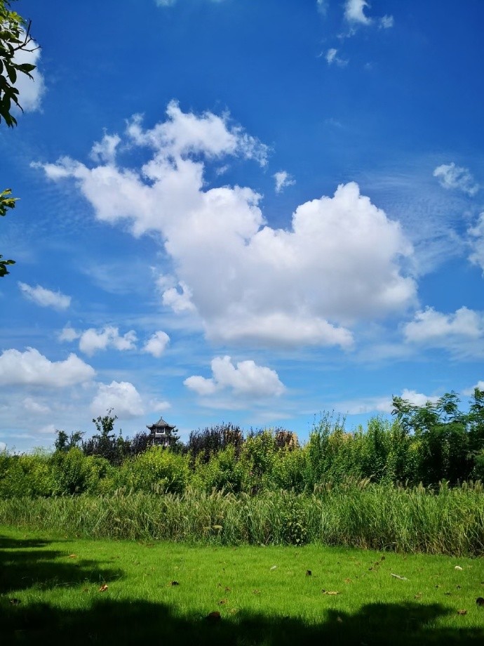 预计本周晴间多云天气为主