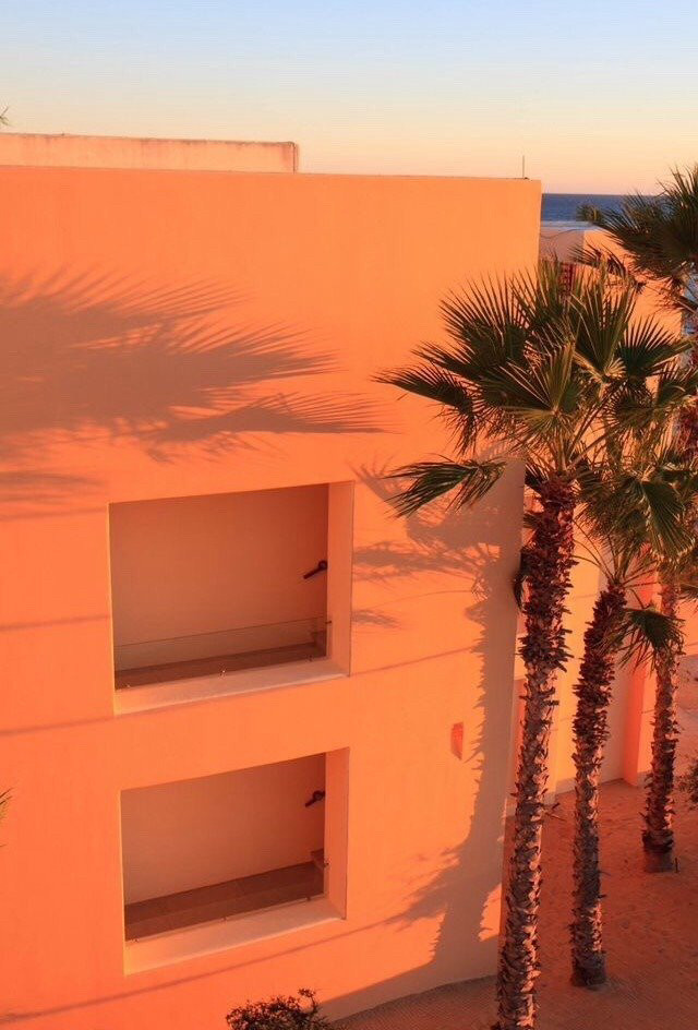 橙色系背景图|orange