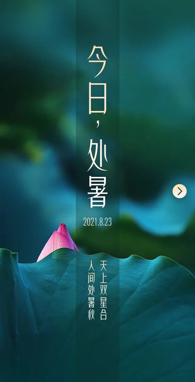 今日处暑,你那里凉快了吗?