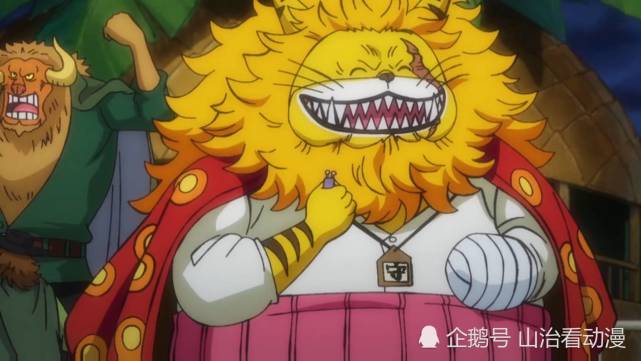 海贼王988集不死鸟马尔科登陆和之国以藏和猫蝮蛇归来太好了