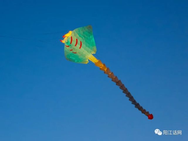 阳江市鸳鸯湖夜光风筝舞蹁跹