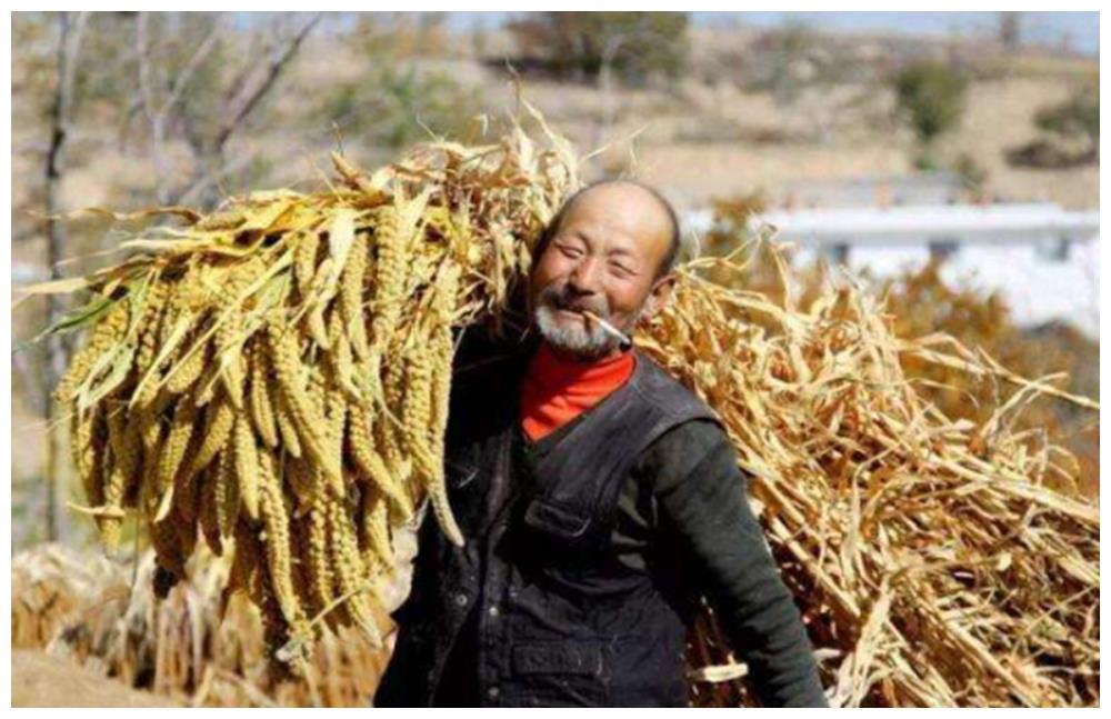 乾重活,久而久之就會造成窮困的生活狀態,質樸的農民堅信,唯有靠勤勞