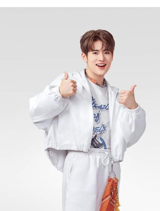 into1力丸回日本新歌刚出就跑路网友啥病只能回家治