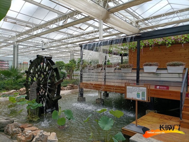 高清组图丨打卡河北正定塔元庄同福乡村振兴示范园