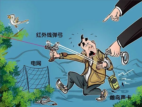 以案釋法一時獵奇圖私利非法狩獵獲刑罰