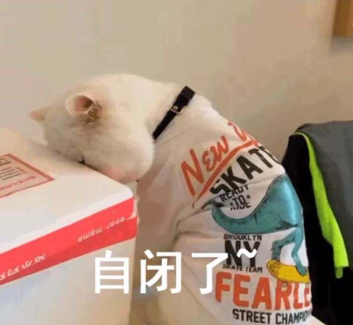 通宵上课,白天补觉,让我的心灵,身体受到双重打击