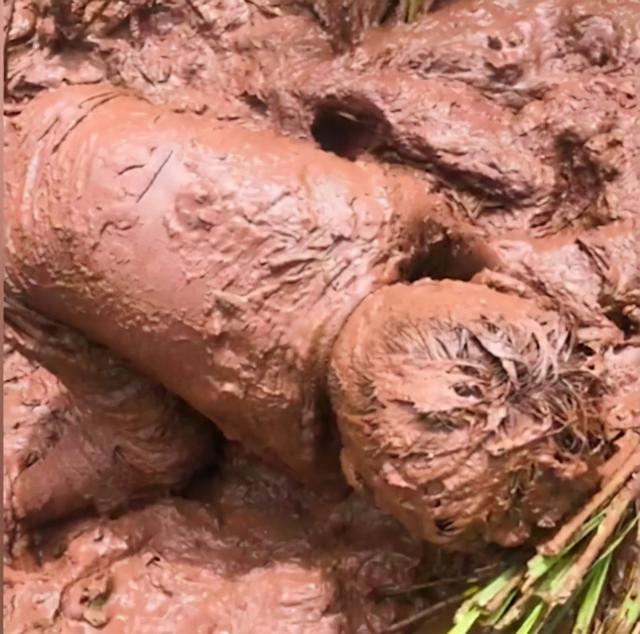 四川俩萌娃在稻田里玩泥巴变小泥人,妈妈淡定拍视频